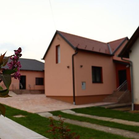 Agroturizam Opg Jakopovic Caglin Extérieur photo