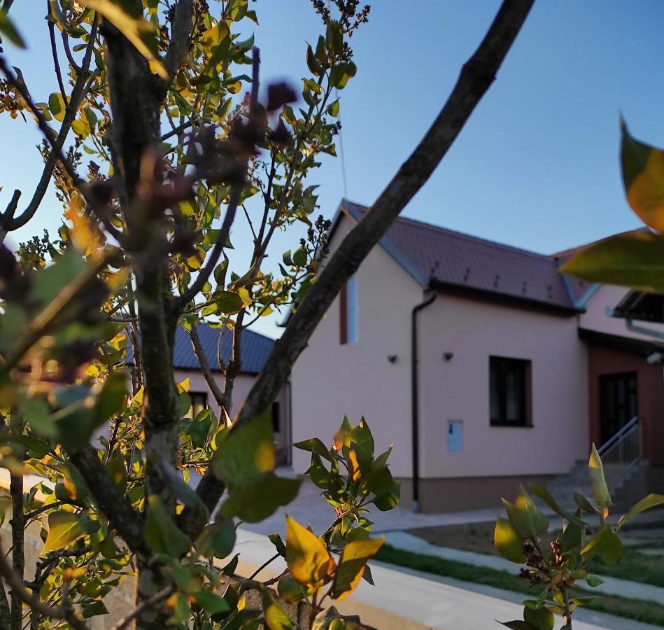 Agroturizam Opg Jakopovic Caglin Extérieur photo